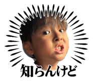 858574377