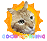 858574426