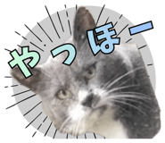 858574440