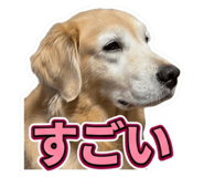858574448