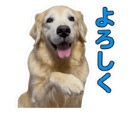 858574451