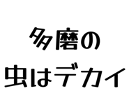858574800
