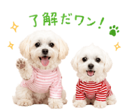 858575280