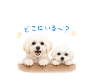 858575282