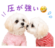 858575300