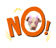 858576146
