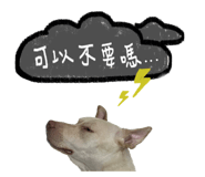 858576147
