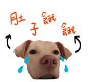 858576152
