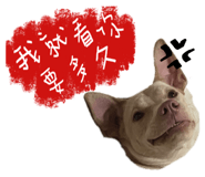 858576153