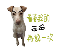 858576155