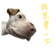 858576157