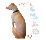 858576160