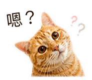 858576165