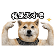 858576822