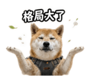858576823