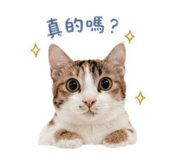 858577330