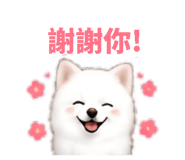 858578035