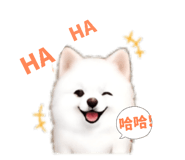 858578038