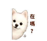 858578039