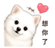 858578040