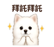 858578041