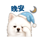 858578044