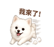 858578046