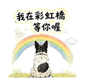 858578093