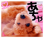 858580336