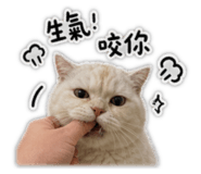 858580539