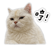858580546