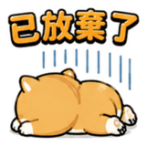 858584202