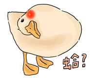 858584262