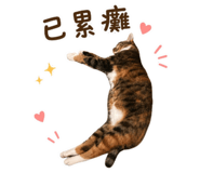 858584564