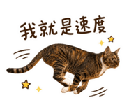 858584580