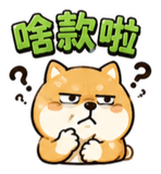 858584630