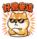 858584637