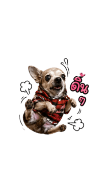 858586147