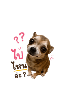 858586157