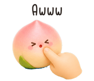 858586204