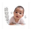 858586502
