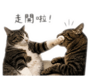 858587487