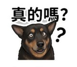 858588620