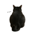 858589053