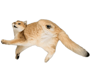858589057