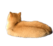 858589061