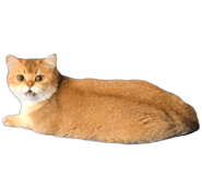 858589063