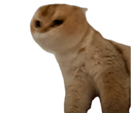 858589067