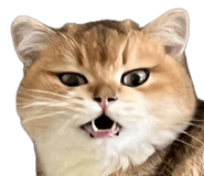 858589086