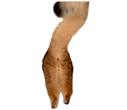 858589087
